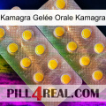 Kamagra Gelée Orale Kamagra new10